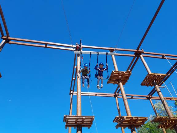 Big swing Landek